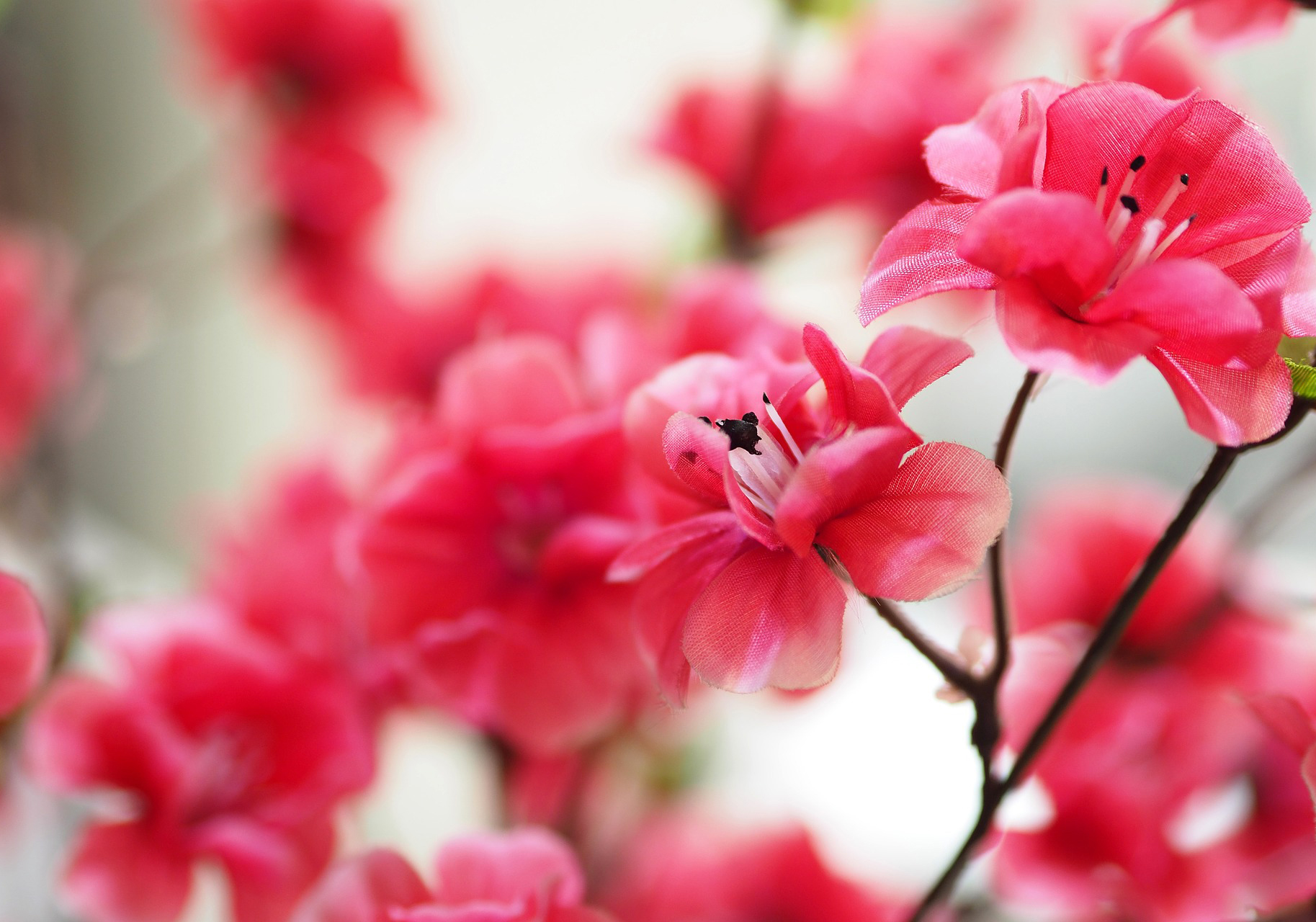 Silk Funeral Flowers