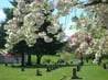 Exterior shot of Mountain View Cemetery